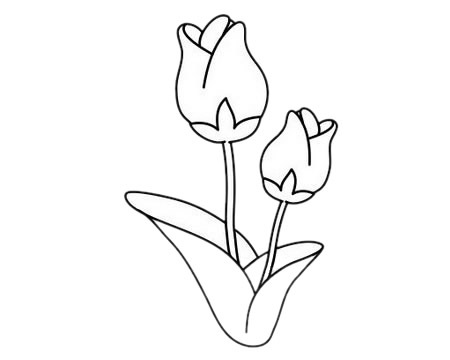 郁金香怎么画简单漂亮(郁金香怎么画简单好看图片)