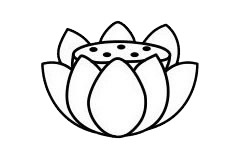 一步步教你画简单的荷花