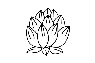 5款不同的荷花简笔画