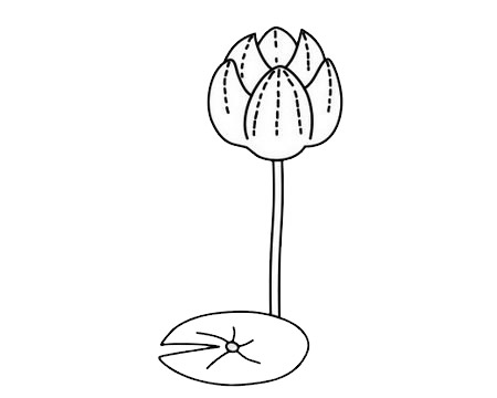 5款不同的荷花简笔画(荷花最简单的简笔画)