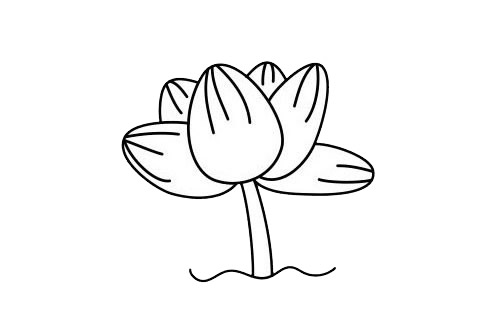 5款不同的荷花简笔画