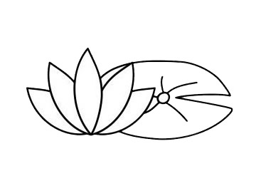 5款不同的荷花简笔画