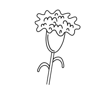 一看就会的康乃馨简笔画(康乃馨最简单的)