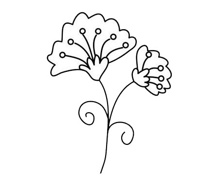 3款关于康乃馨的简笔画