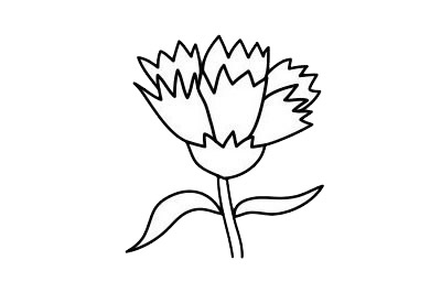 3款关于康乃馨的简笔画