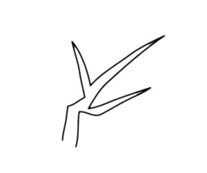 一步步教你画简单的梅花 一步步教你画简单的梅花