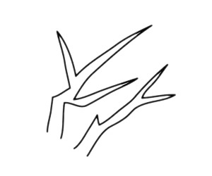 一步步教你画简单的梅花 一步步教你画简单的梅花