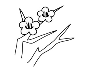 一步步教你画简单的梅花 一步步教你画简单的梅花