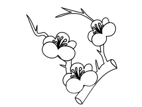 3款关于梅花的简笔画(关于梅花的简笔画大全)