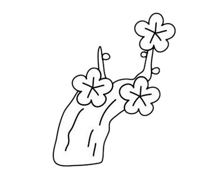 3款关于梅花的简笔画