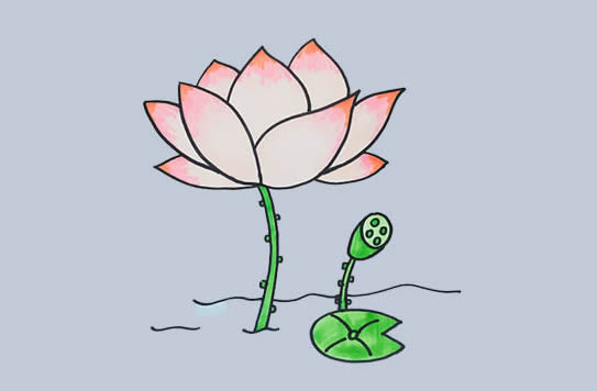 漂亮的荷花简笔画教程(又简单又好看的画荷花简笔画教程)