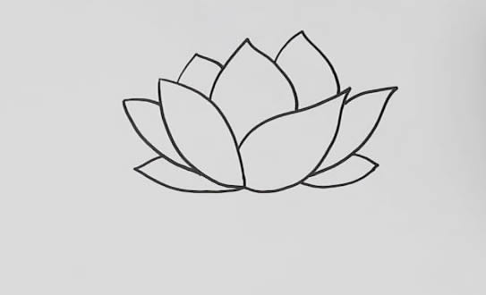 漂亮的荷花简笔画教程