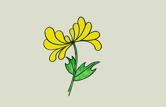 黄菊花怎么画简单又好看(黄菊花图画)