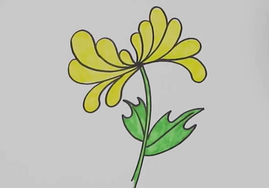 黄菊花怎么画简单又好看