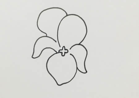 涂色的紫罗兰简笔画教程