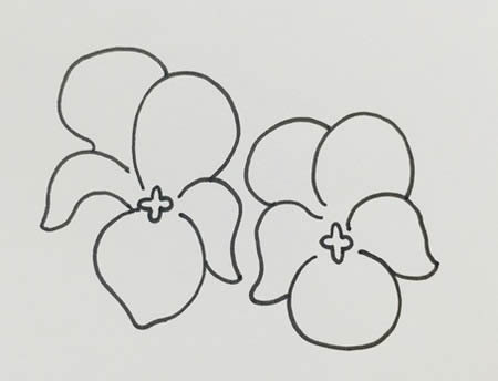 涂色的紫罗兰简笔画教程