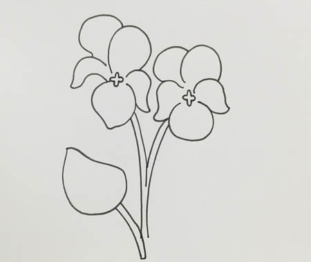 涂色的紫罗兰简笔画教程