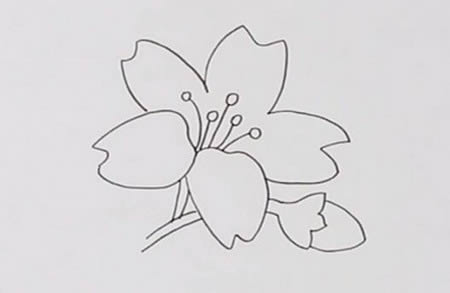 漂亮的迎春花简笔画教程