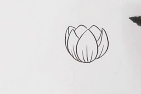 漂亮涂色的郁金香简笔画步骤