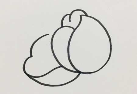 芍药花简笔画步骤教程