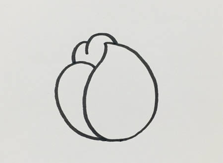 芍药花简笔画步骤教程