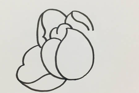 芍药花简笔画步骤教程