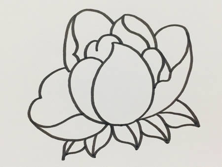 芍药花简笔画步骤教程