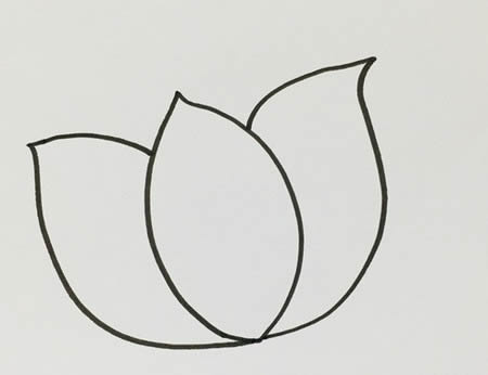 水里的荷花简笔画教程