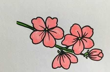 带颜色的桃花简笔画教程(儿童简笔画桃花 颜色)