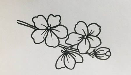 带颜色的桃花简笔画教程