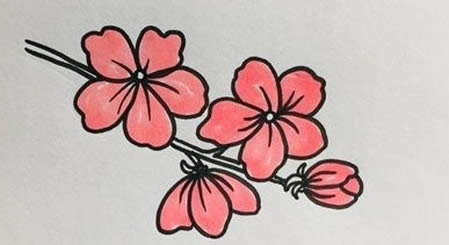 带颜色的桃花简笔画教程