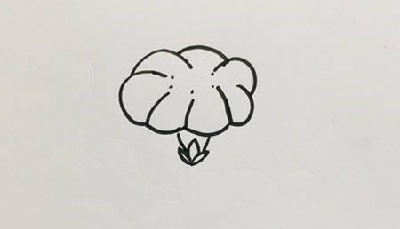 好看的牵牛花简笔画教程