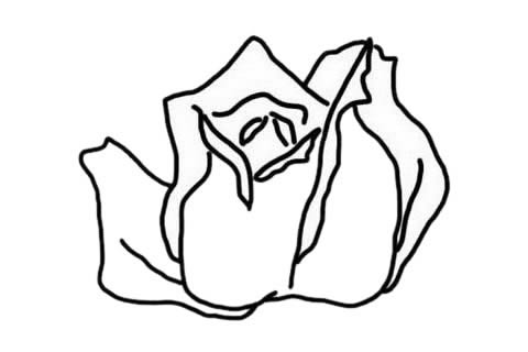 火红的玫瑰花简笔画教程 火红的玫瑰花简笔画教程