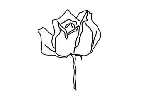 火红的玫瑰花简笔画教程 火红的玫瑰花简笔画教程