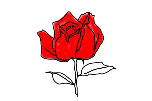 火红的玫瑰花简笔画教程 火红的玫瑰花简笔画教程