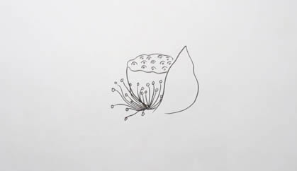 生动逼真的荷花简笔画