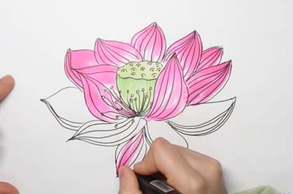 生动逼真的荷花简笔画