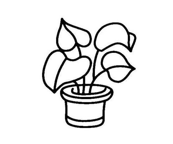 绿植小盆栽简笔画(绿植盆栽手绘效果图)