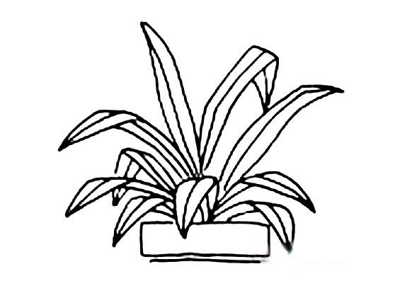 绿植小盆栽简笔画