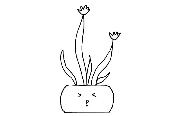 5款可爱的盆栽绿植简笔画