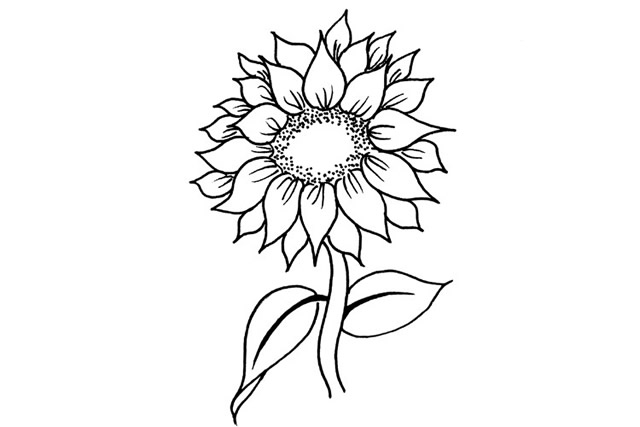6款造型各异的向日葵简笔画