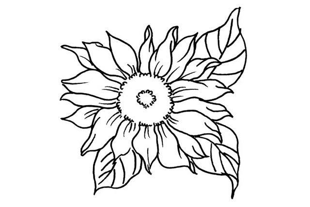 6款造型各异的向日葵简笔画