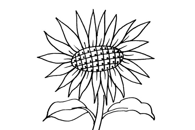 6款造型各异的向日葵简笔画