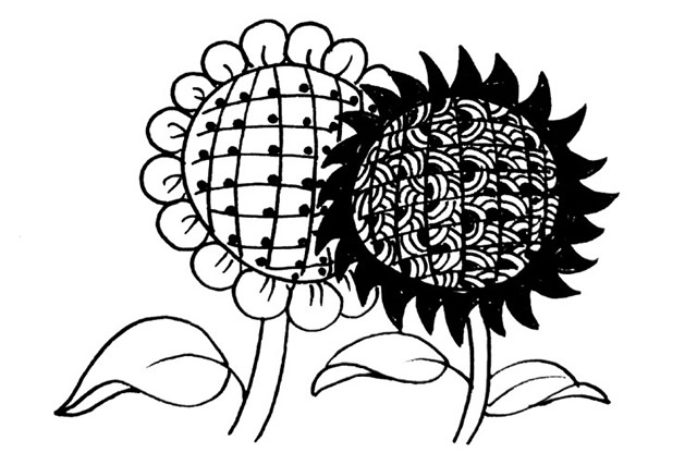 6款造型各异的向日葵简笔画