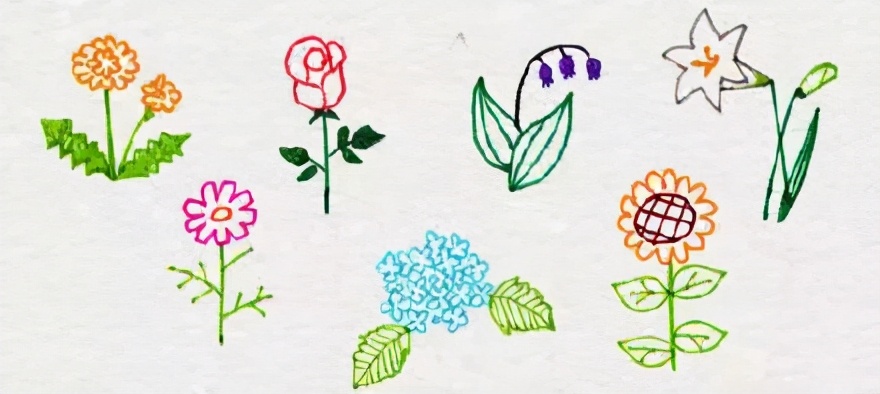 花的画法从基础到高级