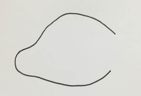 香气扑鼻的烤鸡简笔画