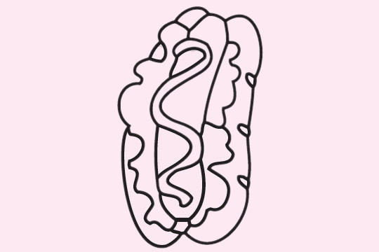 分享几款热狗的简笔画