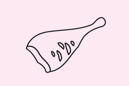 分享几款鸡腿的简笔画