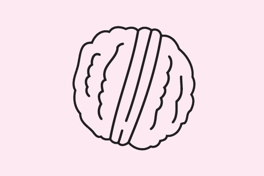 关于核桃的简笔画图片