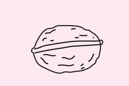 关于核桃的简笔画图片